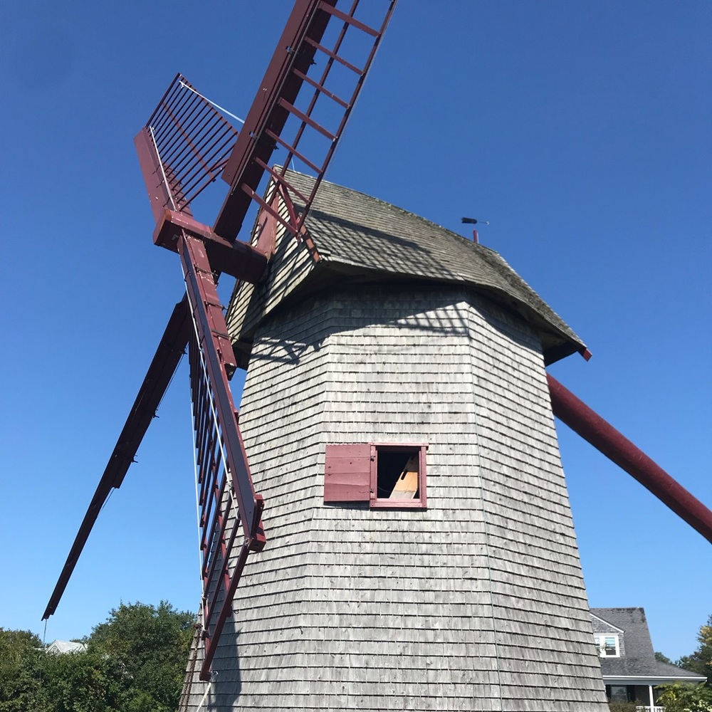 Meet your Posher, Julia